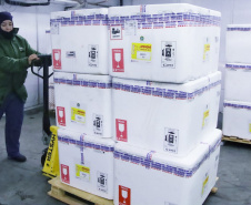  Paraná recebe 332 mil vacinas contra Influenza e se prepara para início da campanha 