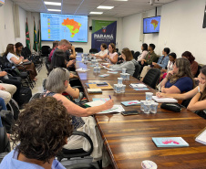 Sesa reforça estratégias para prevenção da mortalidade materna, infantil e fetal no Paraná