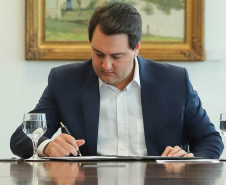 GOVERNADOR