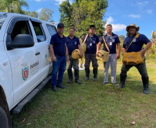  Primeira captura de aranhas-marrons do ano chega ao CPPI para extração do veneno