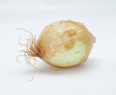 BOLETIM AGRO - CEBOLA