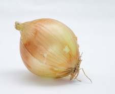 BOLETIM AGRO - CEBOLA