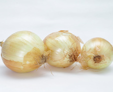 BOLETIM AGRO - CEBOLA