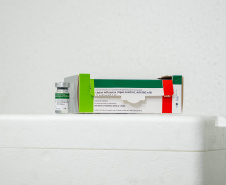 SESA REFORÇA IMPORTANCIA ADESÃO CAMPANHA VACINA GRIPE