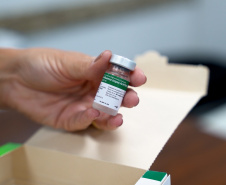 SESA REFORÇA IMPORTANCIA ADESÃO CAMPANHA VACINA GRIPE