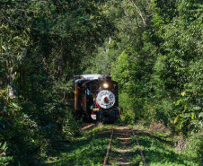SETU PASSEIO DE TREM TEMÁTICO ENTRE MORRETES E ANTONINA