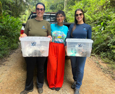IAT promoveu a soltura de seis gambás-de-orelha-branca que estavam sob cuidados dos participantes do programa de Voluntariado para Cuidados e Reabilitação Intensiva de Animais Silvestres (CRIA)