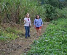 IDR-Paraná tem ações voltadas ao fortalecimento das mulheres no meio rural
