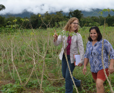 IDR-Paraná tem ações voltadas ao fortalecimento das mulheres no meio rural