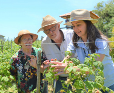 IDR-Paraná tem ações voltadas ao fortalecimento das mulheres no meio rural