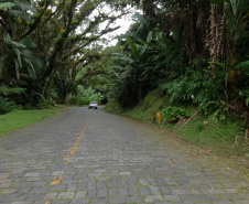 ESTRADA