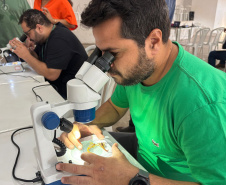 SESA CAPACITAÇÃO ACIDENTES ANIMAIS PEÇONHENTOS 