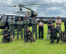PCPR TREINA CÃES FAREJADORES