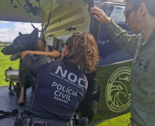 PCPR TREINA CÃES FAREJADORES