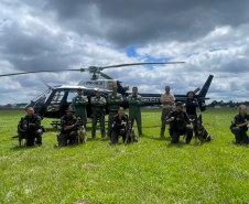 PCPR TREINA CÃES FAREJADORES