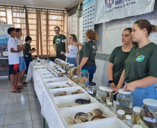 Ações ambientais organizadas pelo IAT para comemorar o Dia Mundial da Água distribuíram mais de oito mil mudas de espécies nativas