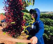 IDR-Paraná tem ações voltadas ao fortalecimento das mulheres no meio rural