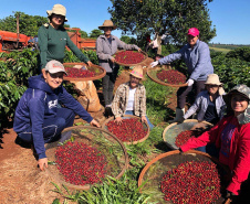 IDR-Paraná tem ações voltadas ao fortalecimento das mulheres no meio rural
