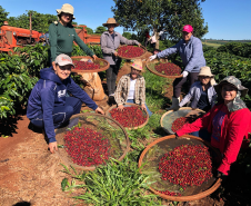 IDR-Paraná tem ações voltadas ao fortalecimento das mulheres no meio rural