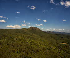 Manutenção: Instituto Água e Terra (IAT) vai fechar temporariamente a trilha de acesso ao Morro Pão de Loth, no Parque Estadual da Serra da Baitaca, neste sábado (29), das 7h30 às 13h
