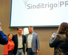 Renovação de benefícios fiscais amplia competitividade da indústria de trigo do Paraná