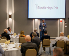 Renovação de benefícios fiscais amplia competitividade da indústria de trigo do Paraná