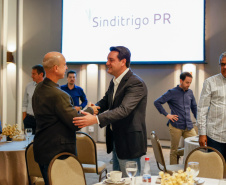 Renovação de benefícios fiscais amplia competitividade da indústria de trigo do Paraná
