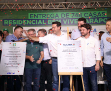 arapongas