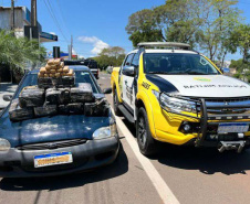 Batalhão da PM apreende 109 quilos de maconha em rodovia de Realeza