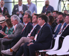 GOVERNADOR