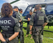 PCPR TREINA CÃES FAREJADORES