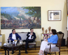 GOVERNADORA