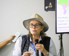 FEIJÃO
