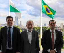 VICE GOV PARAGUAI
