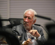 VICE GOVERNADOR