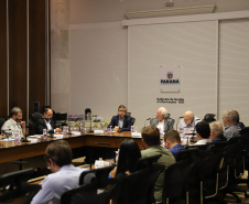 VICE GOVERNADOR