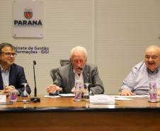 VICE GOVERNADOR