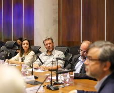 VICE GOVERNADOR