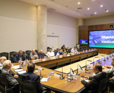 VICE GOVERNADOR