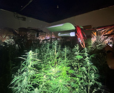 PMPR MACONHA