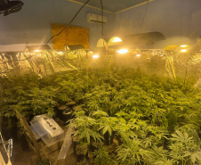 PMPR MACONHA