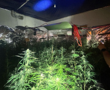 PMPR MACONHA