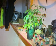 PMPR MACONHA