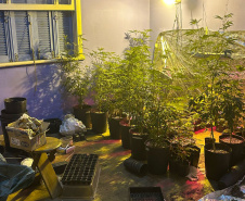PMPR MACONHA