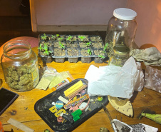 PMPR MACONHA