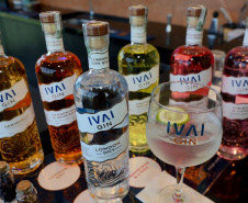 gin