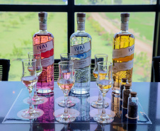 gin
