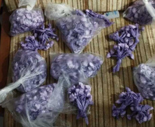 PCPR, PMPR e GCM apreendem mais de mil porções de cocaína em ação contra o delivery de drogas no Norte