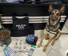 PCPR prende 12 pessoas em operação de combate ao tráfico de drogas em Guarapuava