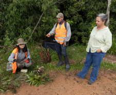 SANEPAR RESGATA ANIMAIS REPLANTIO VEGETAÇÃO